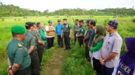 Mayor Jenderal TNI Niko Fachrizal, M.Tr. (Han) meninjau langsung pelaksanaan Optimalisasi Lahan (Opslah) di wilayah Kodim 0115/Simeulue, tepatnya di Desa Suak Buluh, Kecamatan Simeulue, 