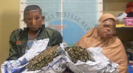 Barang Bukti dan Tersangka diamankan Satresnarkoba Polres 
Pidie Jaya. Rilis, Minggu 
02-02-2025. Foto.Ist