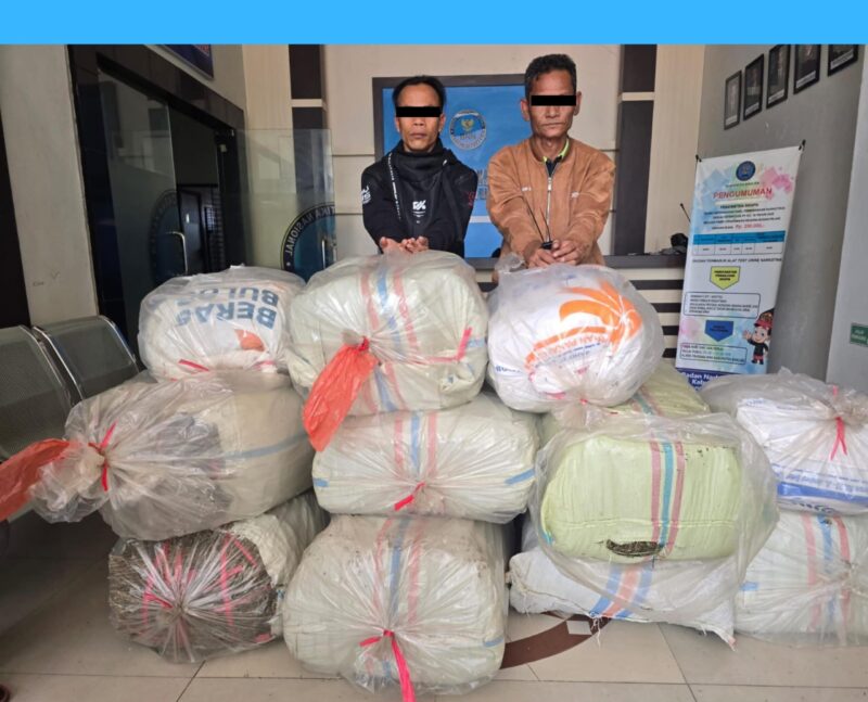 33 Kg Sabu, 262.000 Butir Ekstasi Dan Ratusan Kilogram Ganja, BNN Provinsi Aceh Ungkap Jaringan Narkotika International   