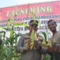 Kapolresta Panen Ratusan Jagung di Gampong Geuceu Meunara Banda Aceh