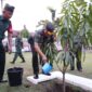  Mayor Jenderal TNI Niko Fahrizal, M.Tr. (Han) memerintahkan Komandan Korem (Danrem) 011/Lilawangsa Kolonel Inf Ali Imran untuk mengerahkan prajurit di jajarannya dalam rangka mendukung program Go Green, Indonesia Zero Emission ratusan bibit pohon mahoni di Bukit Aseigrah, Desa Alue Rime, Kecamatan Pirak Timu, Kabupaten Aceh Utara, Rabu (12/2/2025). 