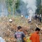 Warga Dusun Teupin Peuraho, Sedang Gotong Royong, minggu (23-02-2025) Foto. Jurnalis TLii.