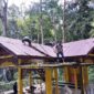  Komandan Korem 012/Teuku Umar (Danrem 012/TU), untuk merenovasi sejumlah fasilitas di Kompleks Makam Pahlawan Nasional Teuku Umar yang terletak di Desa Mugo Rayeuk, Kecamatan Panton Reu, Kabupaten Aceh Barat 23/2/2025