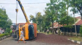 Truk Terguling di Simpang Dodik, Muatan Sawit Brondol Tumpah Ruah ke Jalan