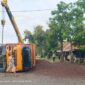 Truk Terguling di Simpang Dodik, Muatan Sawit Brondol Tumpah Ruah ke Jalan
