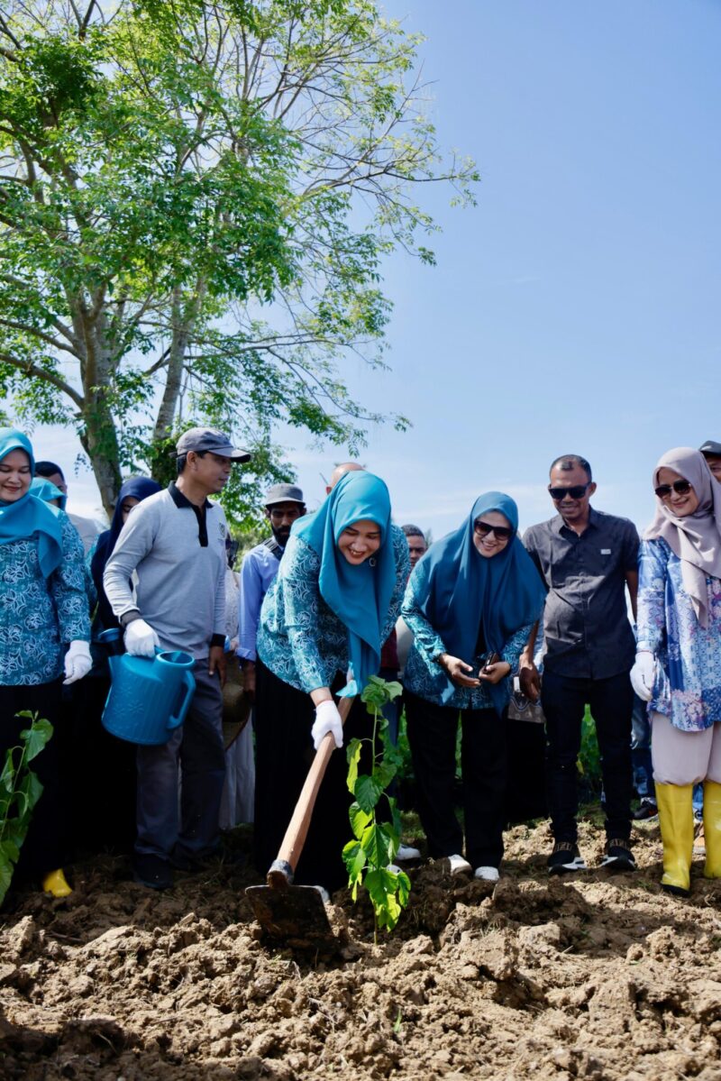 Marlina Muzakir, Ketua Dekranasda Aceh, menanam bibit murbei bersama UMKM Jalur SuteraAceh di Gampong Siem, Darussalam, Aceh Besar, Kamis (17/4/2025). Penanaman ini menjadi bagian dari upaya membangkitkan kembali industri sutera Aceh melalui pemberdayaan UMKM lokal