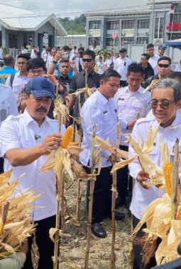 berita-rekomendasi-foto