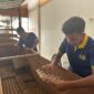 Budidaya Jangkrik, Inovasi Baru Lapas Kelas IIA Banda Aceh untuk Kemandirian Warga Binaan