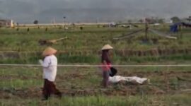 Petani Semangka Gampong Teupin Peuraho. Foto.TLii (18-5-2025)