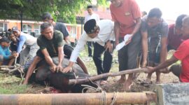 Polresta Banda Aceh Sembelih Hewan Kurban, Dibagikan Kepada Yang Berhak