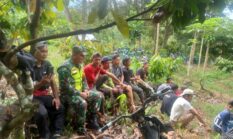 berita-pilihan-foto