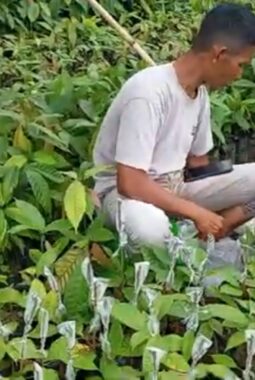 berita-rekomendasi-foto
