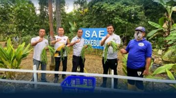 Dukung Program Ketahanan Pangan, Jajaran Lapas Narkotika Samarinda Panen Kacang Panjang di SAE Perkebunan