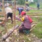 Bhabinkamtibmas Desa Tokilo Gotong Royong Buat Pagar Pembatas, Cegah Kerbau Masuk Permukiman dan Kebun Warga
