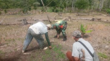 Babinsa melaksanakan Hanpangan di Wilayah