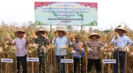 Wakil Bupati Pidie Jaya Hasan Basri, ST, MM bersama jajaran Forkopimda menghadiri kegiatan Panen Raya Jagung Serentak Kuartal III di lahan binaan Polres Pidie Jaya seluas 1 hektar, Gampong Cot Keng, Kecamatan Bandar Dua. Sabtu,. 27/9/2025.foto.ist