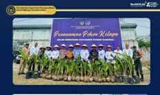 berita-pilihan-foto