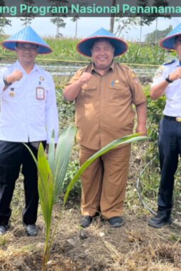 berita-rekomendasi-foto