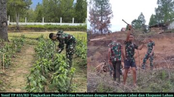 Yonif TP 855/Raksaka Dharma Optimalkan Ketahanan Pangan Melalui Perawatan Intensif Tanaman Cabai dan Perluasan Lahan di Gayo Lues