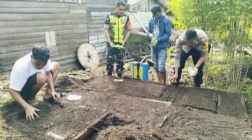 Ketahanan Pangan Desa Ramung musara kec.putri Betung Di kuatkan Lewat Pertanian pembibitan Cabai Rawit