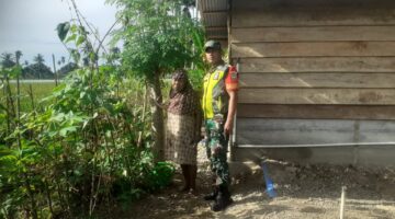 Babinsa Koramil 09/Putri Betung Aktif Dampingi Warga untuk Ketahanan Pangan di Pekarangan Rumah