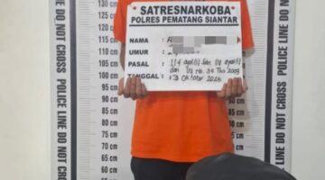 Dari Dalam Gubuk , Polres Pematangsiantar Amankan Pemilik 230 Gram Ganja