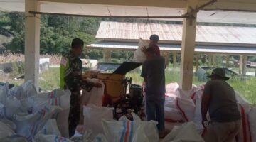 Babinsa bersama warga binaan Koramil 09/ Putri Betung bantu warga merontok Jagung