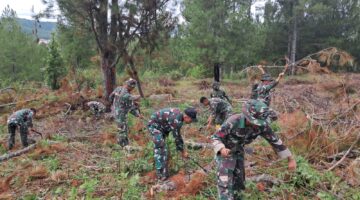 Akselerasi Ketahanan Pangan: Yonif TP 855/Raksaka Dharma Kolaborasikan Intensifikasi Peternakan dan Perluasan Lahan Pertanian
