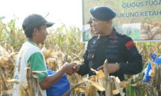 berita-pilihan-foto