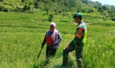 berita-pilihan-foto