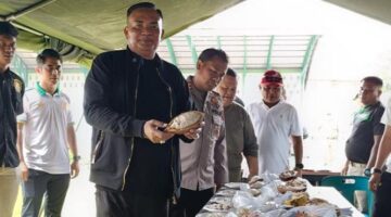 Kontes Buah Kakao 2025 di Aceh Tenggara, 250 Peserta Unjuk Hasil Panen Terbaik Demi Mengangkat Kembali Kejayaan Kakao Sepakat Segenep