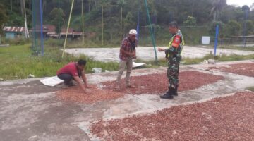Babinsa Koramil 09/Putri Betung Komunikasi dengan Warga Penjemuran Kakao Desa Uning Pune