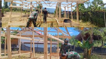 Terus Berkembang: Yonif TP 855/RD Laksanakan Perluasan Lahan Pertanian dan Pembuatan Kandang Ternak Dalam Mendukung Program Ketahanan Pangan Nasional