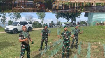 Yonif TP 855/RD Kukuhkan Kemandirian Pangan Satuan Melalui Panen Bawang Perdana dan Pembangunan Kompi Peternakan Gayo Lues