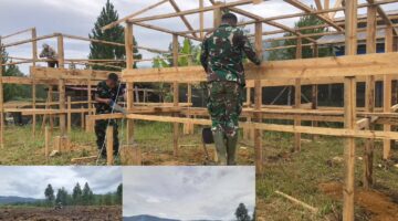 Sinergi Ketahanan Pangan Nasional: Yonif TP 855/Raksaka Dharma Intensifkan Pembukaan Lahan Pertanian dan Pembangunan Kandang Ternak