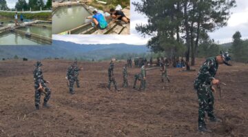 Aksi Nyata Raksaka Dharma: Yonif TP 855/RD Garap Lahan Pertanian Sekaligus Tebar Ribuan Bibit Ikan Guna Perkuat Ketahanan Pangan Nasional