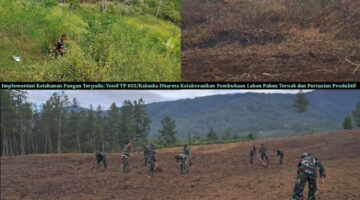 Implementasi Ketahanan Pangan Terpadu: Yonif TP 855/Raksaka Dharma Kolaborasikan Pembukaan Lahan Pakan Ternak dan Pertanian Produktif