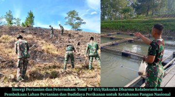 Sinergi Pertanian dan Peternakan: Yonif TP 855/Raksaka Dharma Kolaborasikan Pembukaan Lahan Pertanian dan Budidaya Perikanan untuk Ketahanan Pangan Nasional