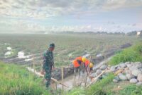 sinergi antara TNI, masyarakat, dan tim teknis BWS sudah mencapai progres fisik sebesar 2,15 persen pada tahap awal pelaksanaan. Rabu (22/10/2025) 
