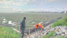 sinergi antara TNI, masyarakat, dan tim teknis BWS sudah mencapai progres fisik sebesar 2,15 persen pada tahap awal pelaksanaan. Rabu (22/10/2025) 
