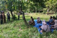 Foto hasil dari Google