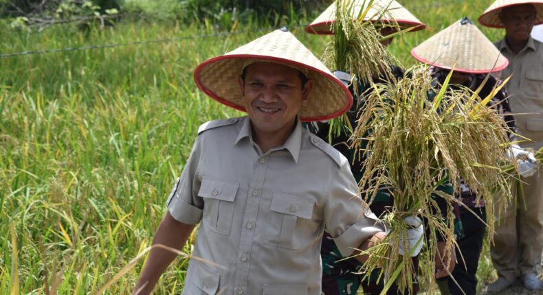 foto slider headline