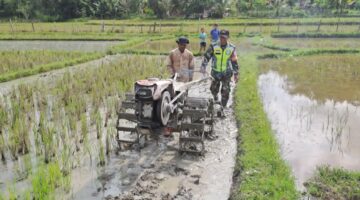 Dukung Han Pangan, Babinsa Dampingi Petani Mengolah Lahan sawah