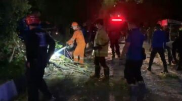 Arus Lalu Lintas Bandara–Lambaro Sempat Terganggu Akibat Pohon Tumbang, Satu Warga Alami Luka Ringan