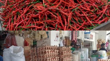 Akses Terputus, LPG 3 Kilo Langka, Harga Pangan Melejit: Aceh dalam Tekanan Ekonomi Berat