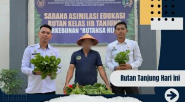 Rutan Tanjung Panen Sawi Di Kebun SAE, Wujud Nyata Dukung Ketahanan Pangan Nasional