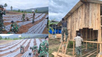 Mendukung Swasembada Pangan: Yonif TP 855/RD Genjot Kualitas Bawang dan Modernisasi Kandang Kambing