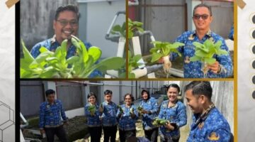 Lapas Kelas IIB Gunungsitoli Gelar Panen Raya Hortikultura, Wujud Nyata Pembinaan Kemandirian WBP