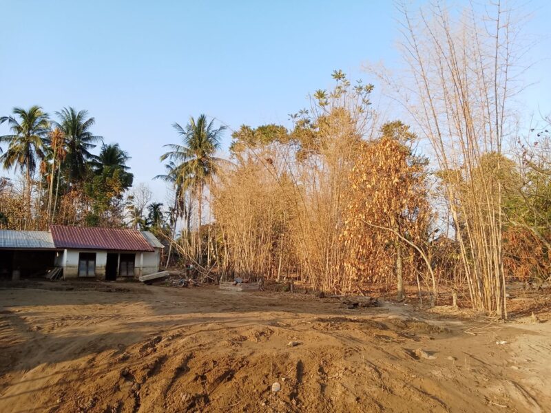 Pepohonan nampak mati akibat genangan  Banjir tahun lalu.(28/01) Foto. Jurnalis TLii
