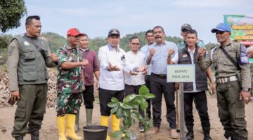 Pulihkan Ekosistem Pascabencana, Bupati Pidie Jaya Tanam 300 Pohon di Meurah Dua